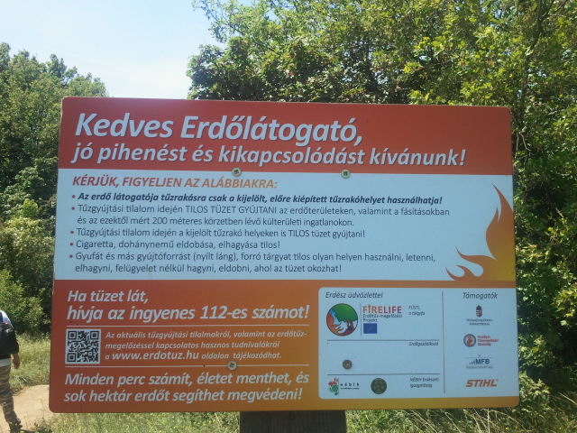 2017-05-20 12.46.41.jpg